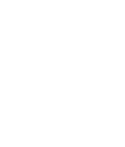 Analysis Report